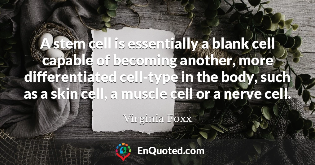 A stem cell is essentially a blank cell capable of becoming another, more differentiated cell-type in the body, such as a skin cell, a muscle cell or a nerve cell.
