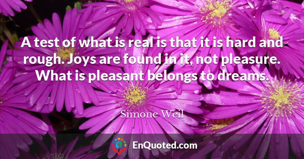 A test of what is real is that it is hard and rough. Joys are found in it, not pleasure. What is pleasant belongs to dreams.