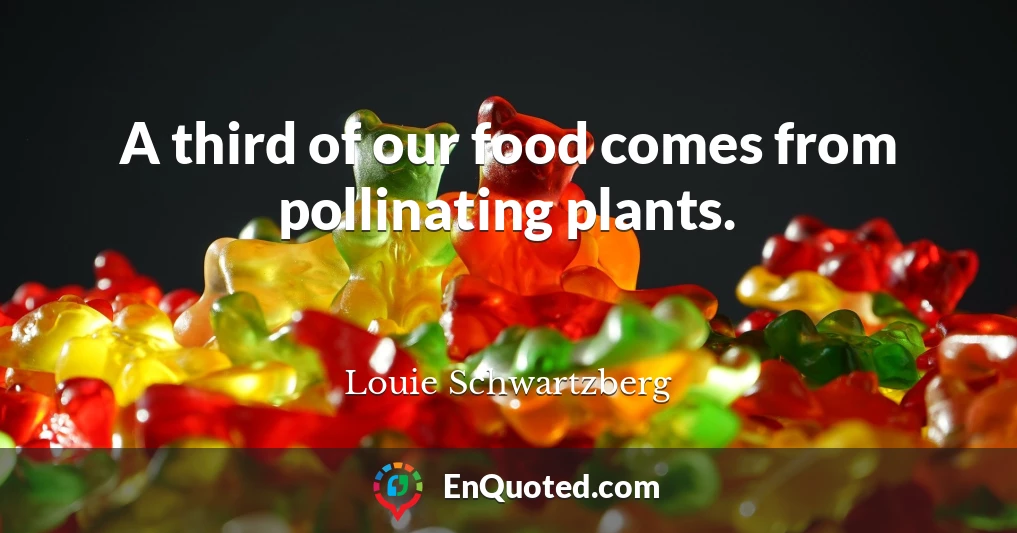 A third of our food comes from pollinating plants.