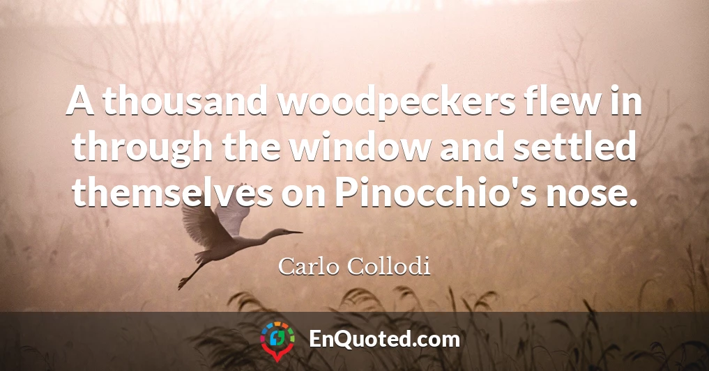A thousand woodpeckers flew in through the window and settled themselves on Pinocchio's nose.