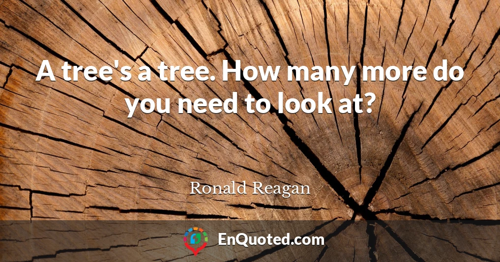 A tree's a tree. How many more do you need to look at?