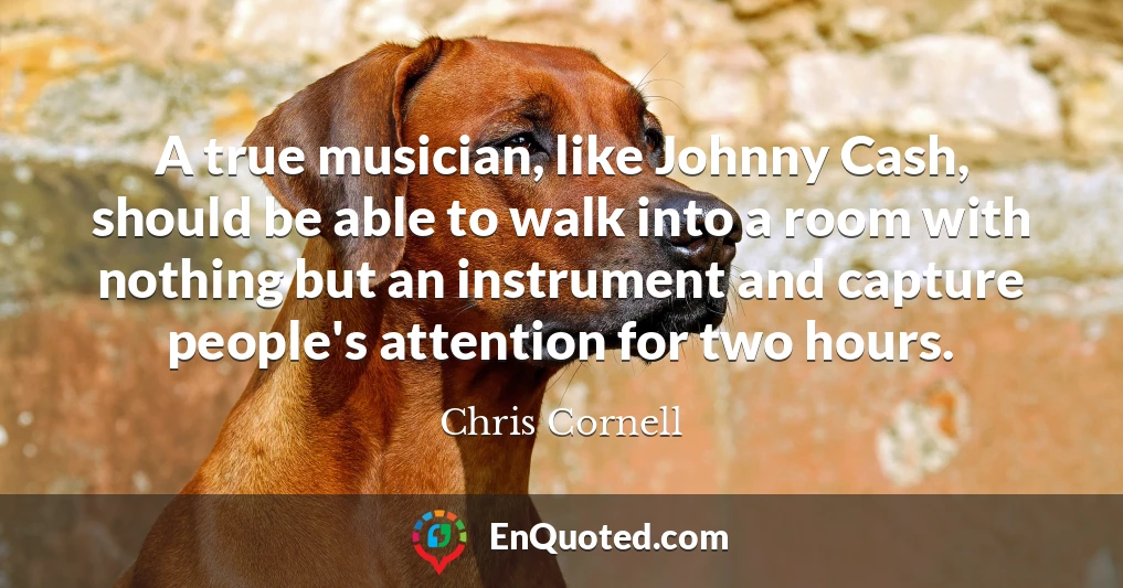 A true musician, like Johnny Cash, should be able to walk into a room with nothing but an instrument and capture people's attention for two hours.