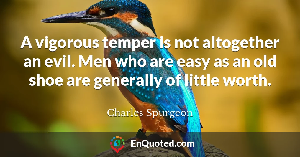 A vigorous temper is not altogether an evil. Men who are easy as an old shoe are generally of little worth.