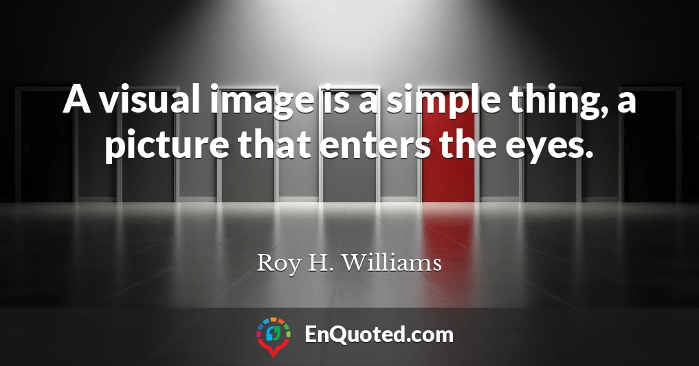 A visual image is a simple thing, a picture that enters the eyes.