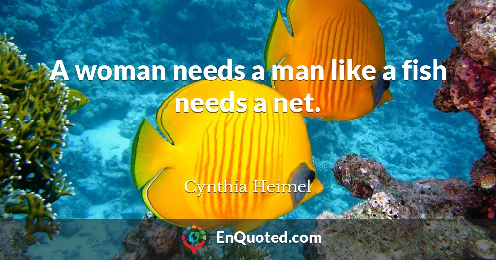 A woman needs a man like a fish needs a net.
