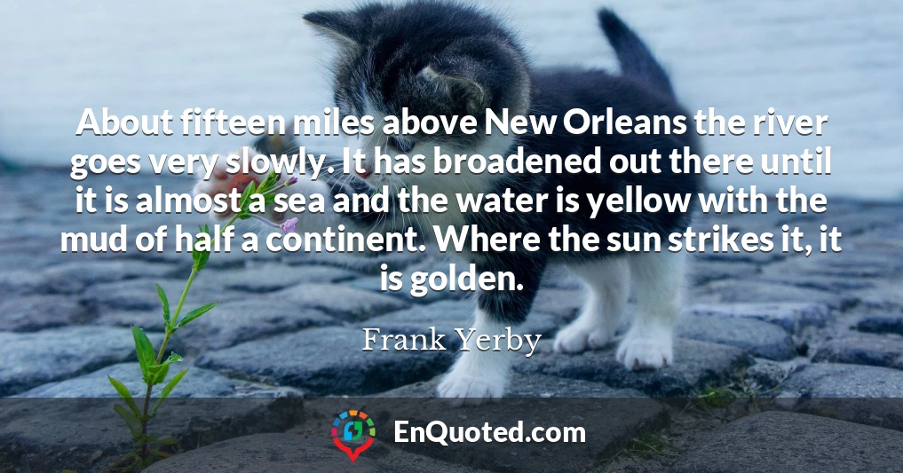 About fifteen miles above New Orleans the river goes very slowly. It has broadened out there until it is almost a sea and the water is yellow with the mud of half a continent. Where the sun strikes it, it is golden.