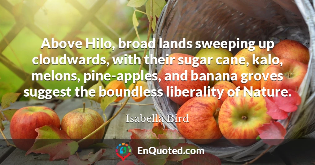 Above Hilo, broad lands sweeping up cloudwards, with their sugar cane, kalo, melons, pine-apples, and banana groves suggest the boundless liberality of Nature.