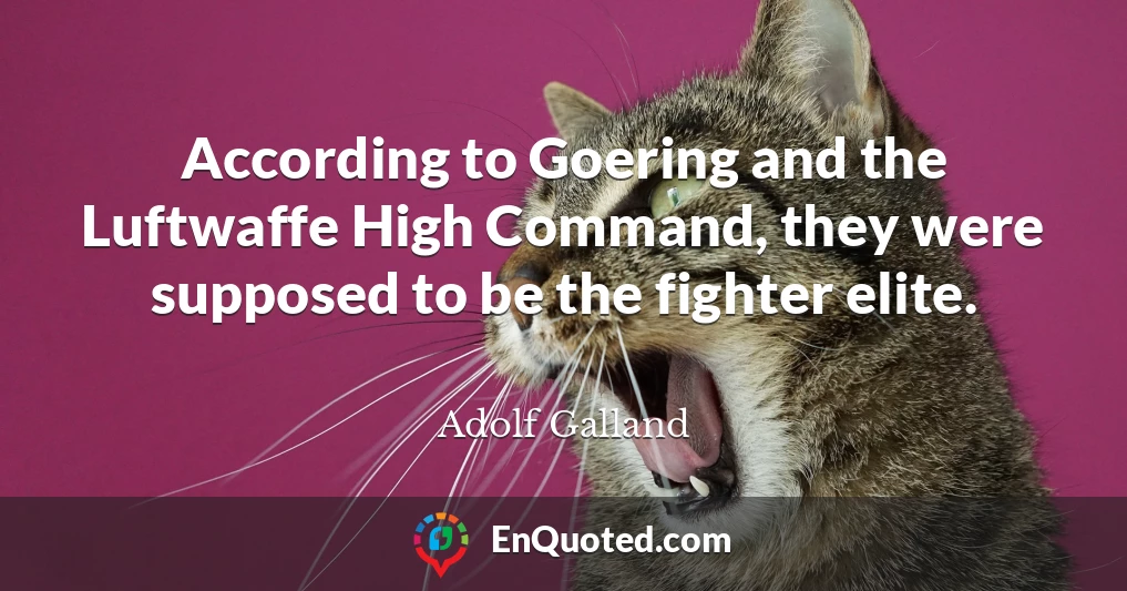 According to Goering and the Luftwaffe High Command, they were supposed to be the fighter elite.