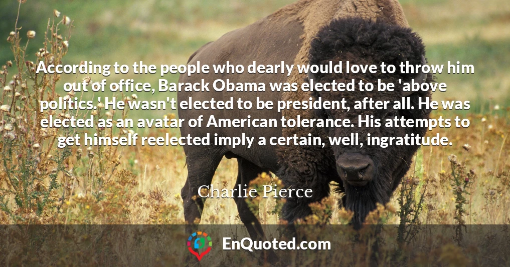 According to the people who dearly would love to throw him out of office, Barack Obama was elected to be 'above politics.' He wasn't elected to be president, after all. He was elected as an avatar of American tolerance. His attempts to get himself reelected imply a certain, well, ingratitude.