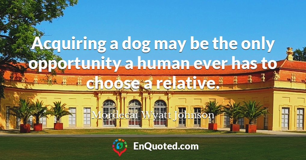 Acquiring a dog may be the only opportunity a human ever has to choose a relative.