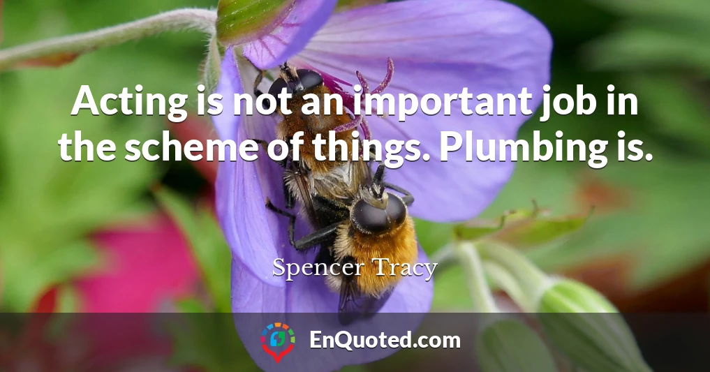 Acting is not an important job in the scheme of things. Plumbing is.