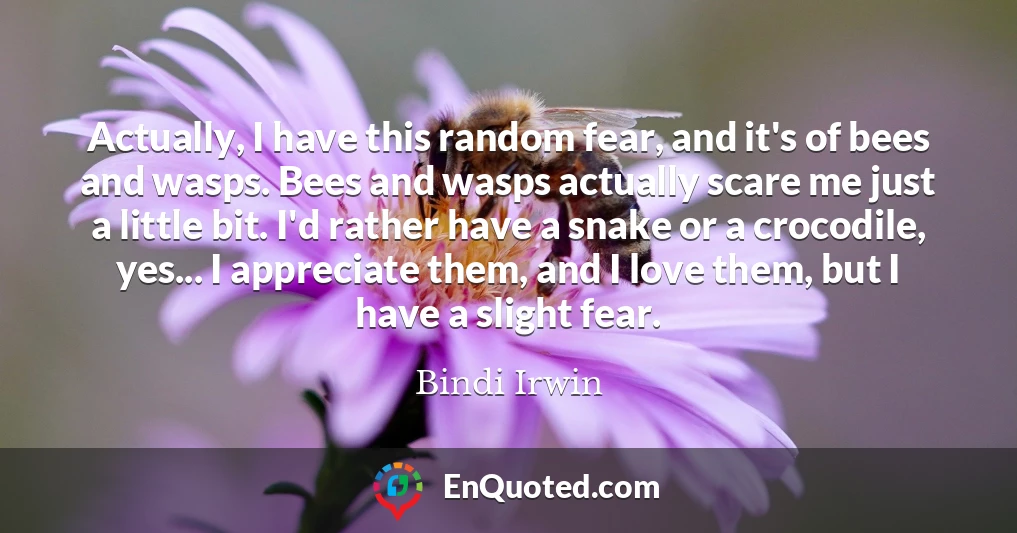 Actually, I have this random fear, and it's of bees and wasps. Bees and wasps actually scare me just a little bit. I'd rather have a snake or a crocodile, yes... I appreciate them, and I love them, but I have a slight fear.
