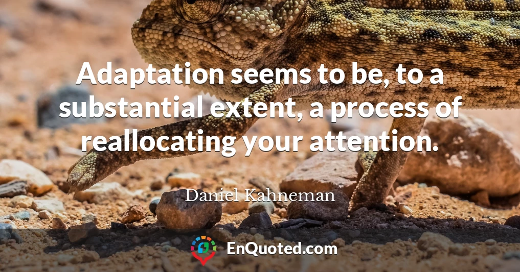 Adaptation seems to be, to a substantial extent, a process of reallocating your attention.