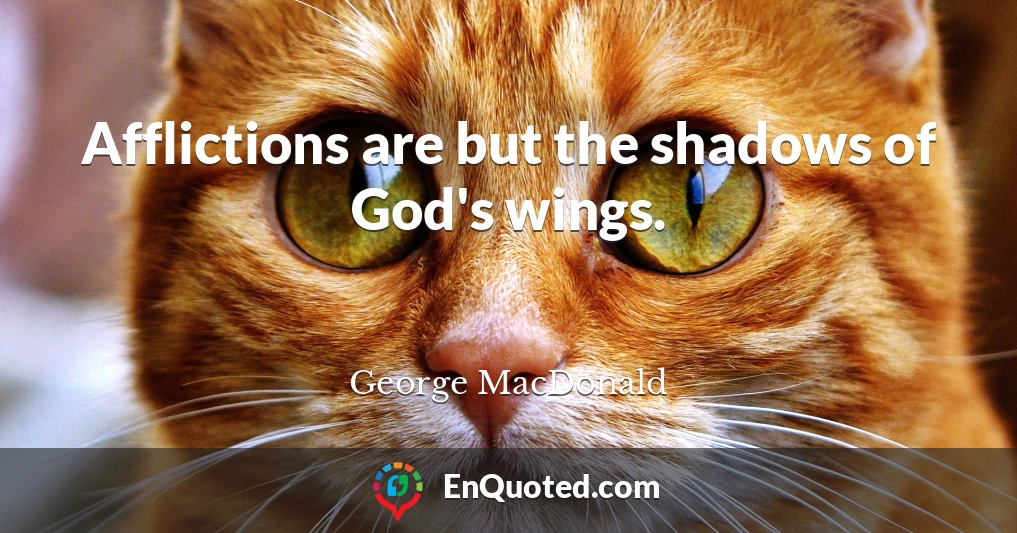 Afflictions are but the shadows of God's wings.