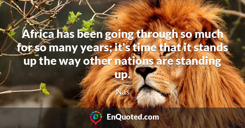 Africa has been going through so much for so many years; it's time that it stands up the way other nations are standing up.