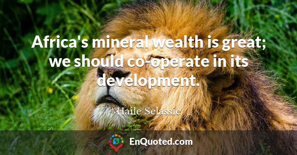 Africa's mineral wealth is great; we should co-operate in its development.