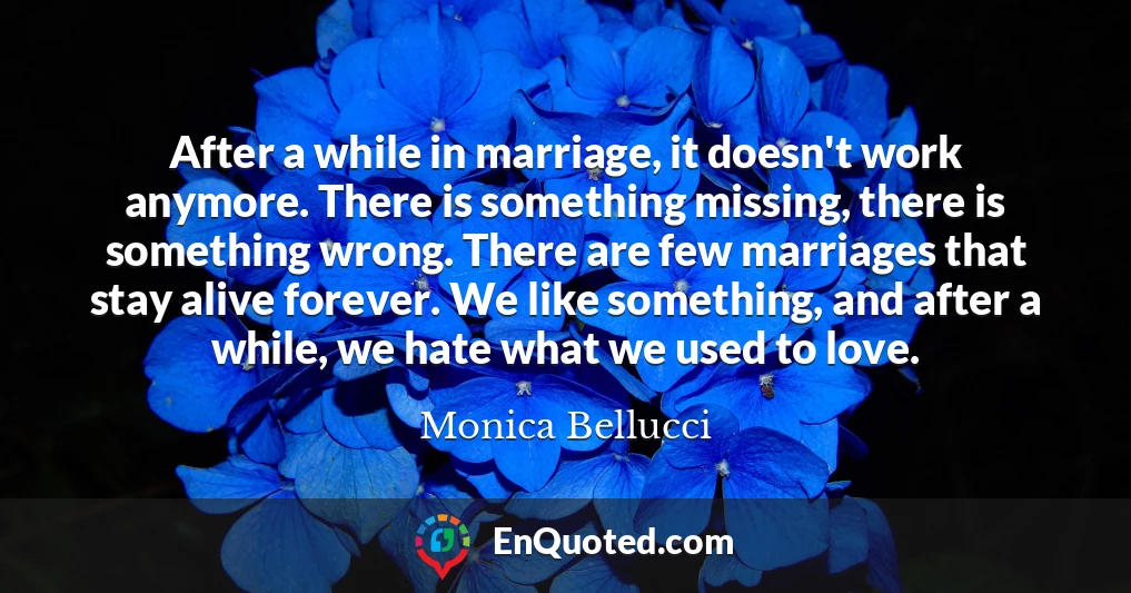 After a while in marriage, it doesn't work anymore. There is something missing, there is something wrong. There are few marriages that stay alive forever. We like something, and after a while, we hate what we used to love.