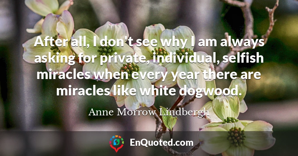 After all, I don't see why I am always asking for private, individual, selfish miracles when every year there are miracles like white dogwood.
