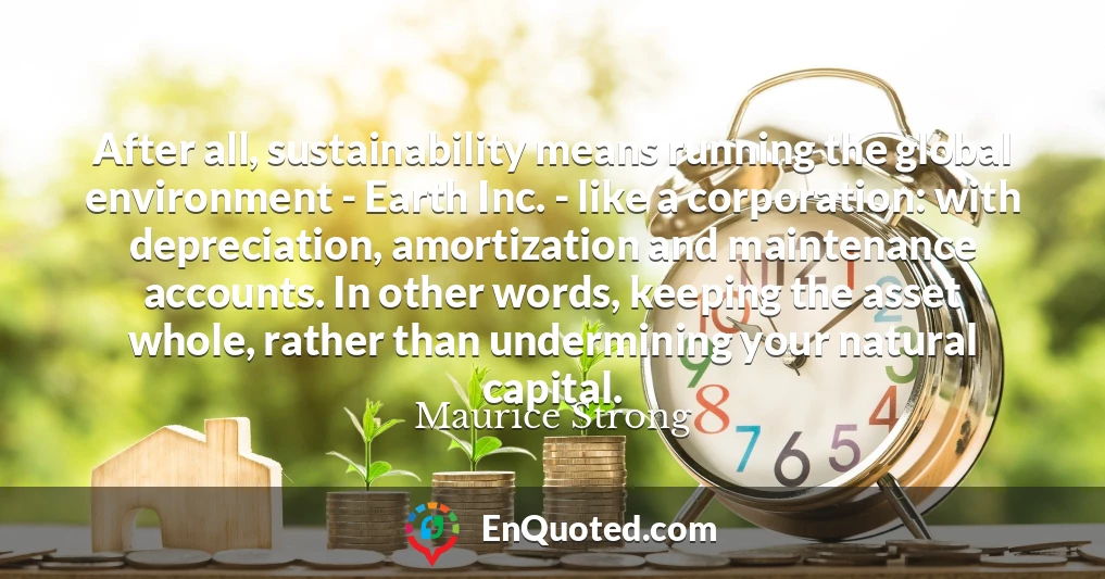 After all, sustainability means running the global environment - Earth Inc. - like a corporation: with depreciation, amortization and maintenance accounts. In other words, keeping the asset whole, rather than undermining your natural capital.