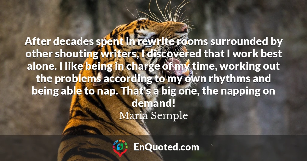 After decades spent in rewrite rooms surrounded by other shouting writers, I discovered that I work best alone. I like being in charge of my time, working out the problems according to my own rhythms and being able to nap. That's a big one, the napping on demand!