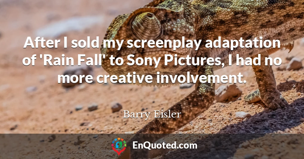 After I sold my screenplay adaptation of 'Rain Fall' to Sony Pictures, I had no more creative involvement.
