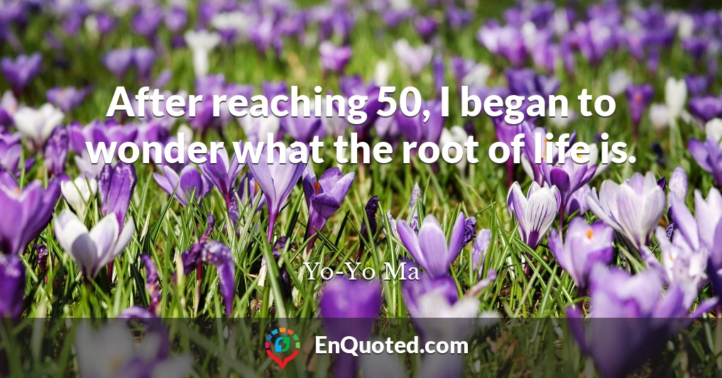 After reaching 50, I began to wonder what the root of life is.