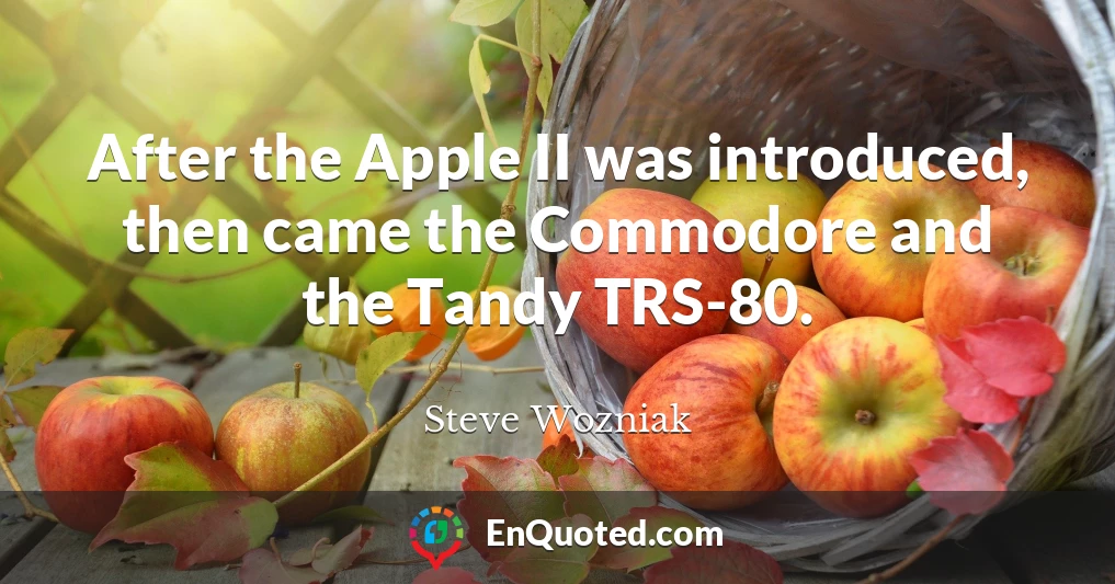 After the Apple II was introduced, then came the Commodore and the Tandy TRS-80.