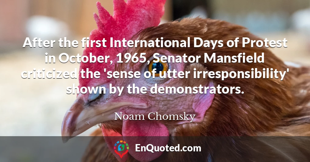 After the first International Days of Protest in October, 1965, Senator Mansfield criticized the 'sense of utter irresponsibility' shown by the demonstrators.