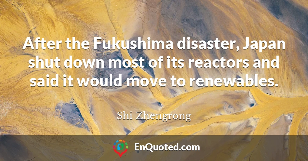 After the Fukushima disaster, Japan shut down most of its reactors and said it would move to renewables.
