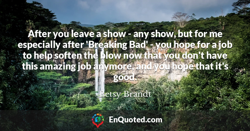 After you leave a show - any show, but for me especially after 'Breaking Bad' - you hope for a job to help soften the blow now that you don't have this amazing job anymore, and you hope that it's good.