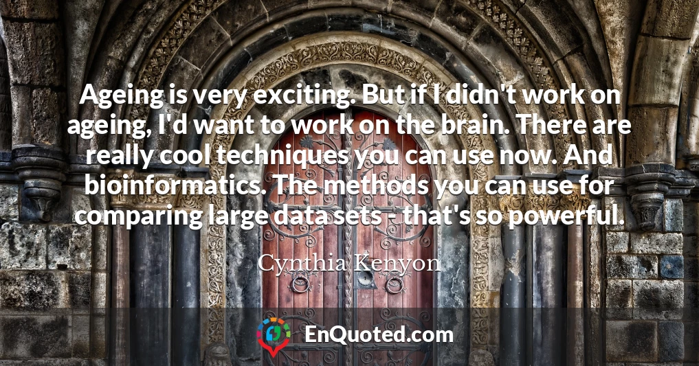 Ageing is very exciting. But if I didn't work on ageing, I'd want to work on the brain. There are really cool techniques you can use now. And bioinformatics. The methods you can use for comparing large data sets - that's so powerful.