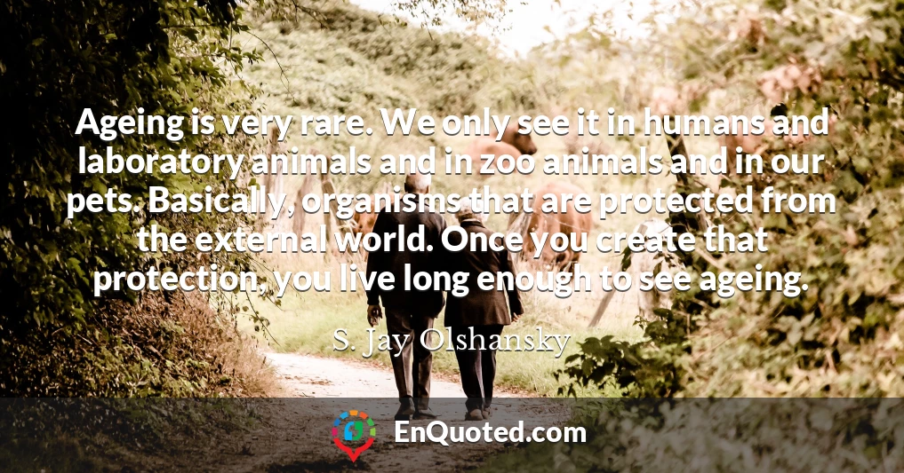 Ageing is very rare. We only see it in humans and laboratory animals and in zoo animals and in our pets. Basically, organisms that are protected from the external world. Once you create that protection, you live long enough to see ageing.