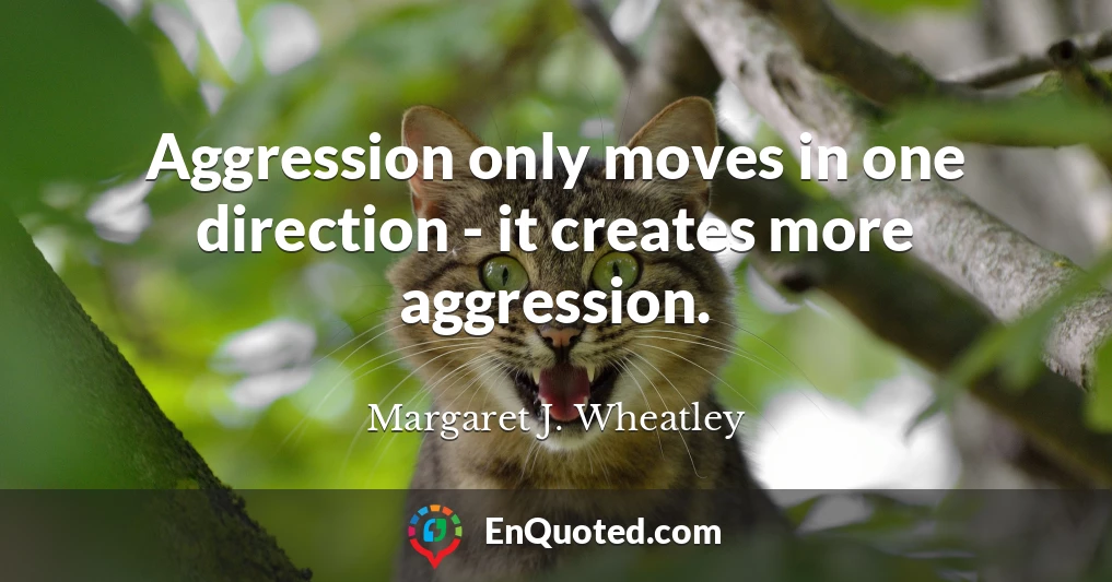 Aggression only moves in one direction - it creates more aggression.