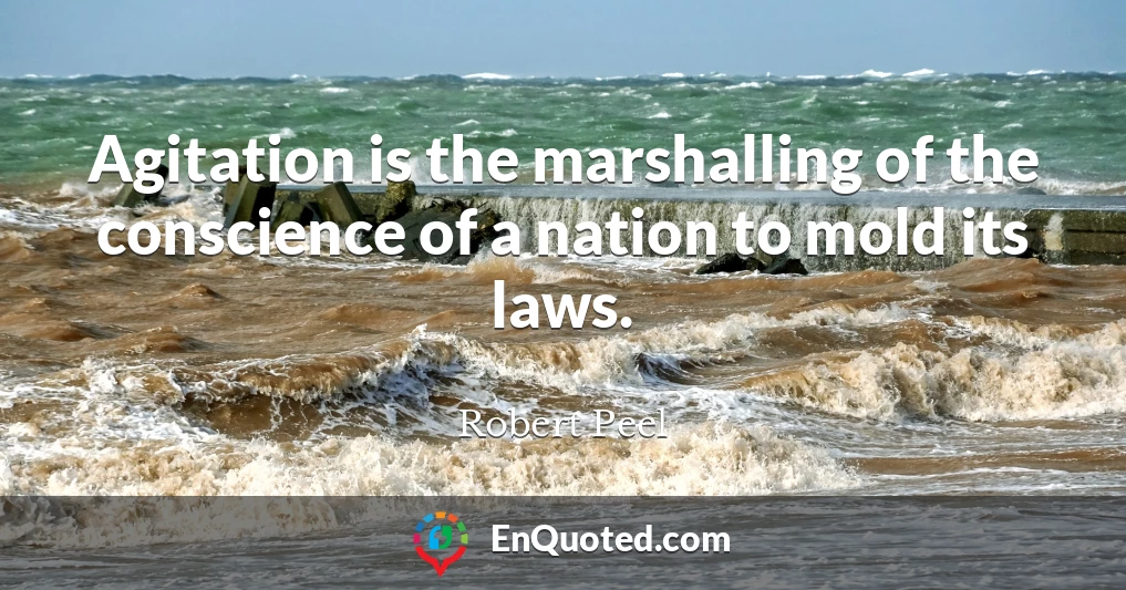 Agitation is the marshalling of the conscience of a nation to mold its laws.