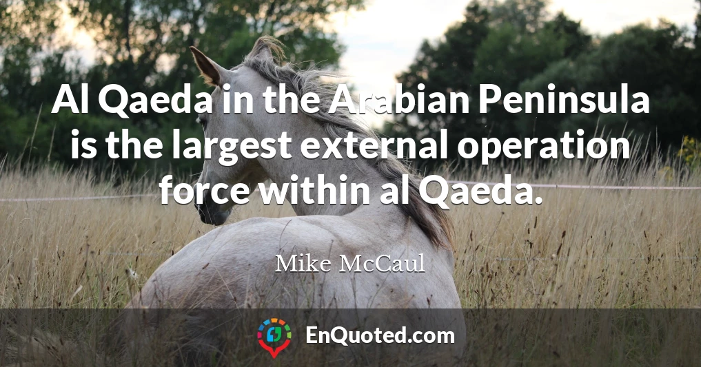 Al Qaeda in the Arabian Peninsula is the largest external operation force within al Qaeda.