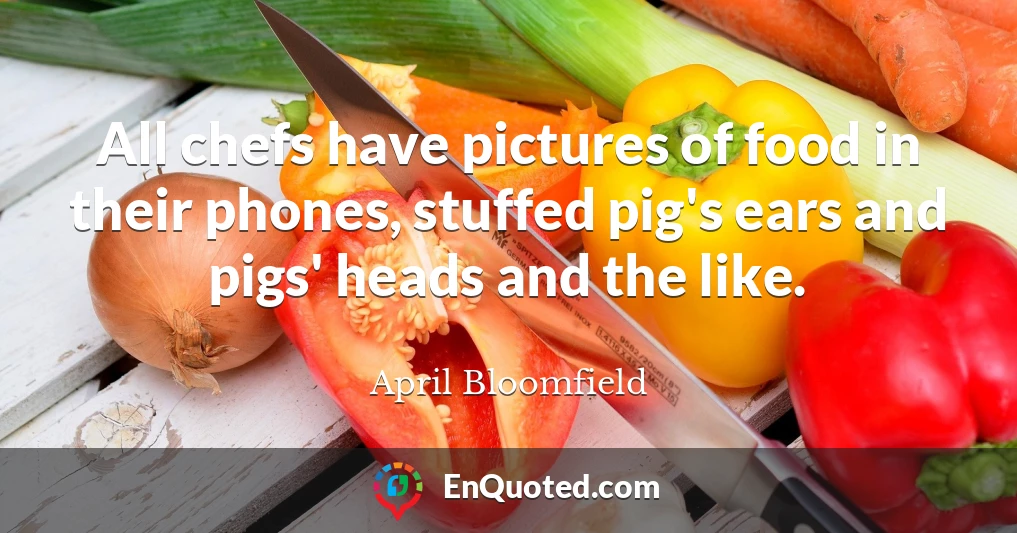 All chefs have pictures of food in their phones, stuffed pig's ears and pigs' heads and the like.