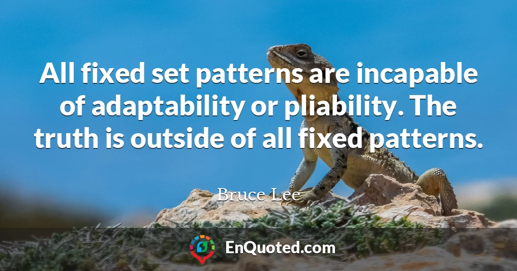 All fixed set patterns are incapable of adaptability or pliability. The truth is outside of all fixed patterns.