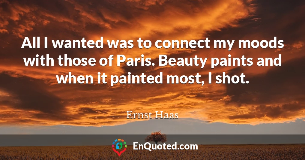 All I wanted was to connect my moods with those of Paris. Beauty paints and when it painted most, I shot.