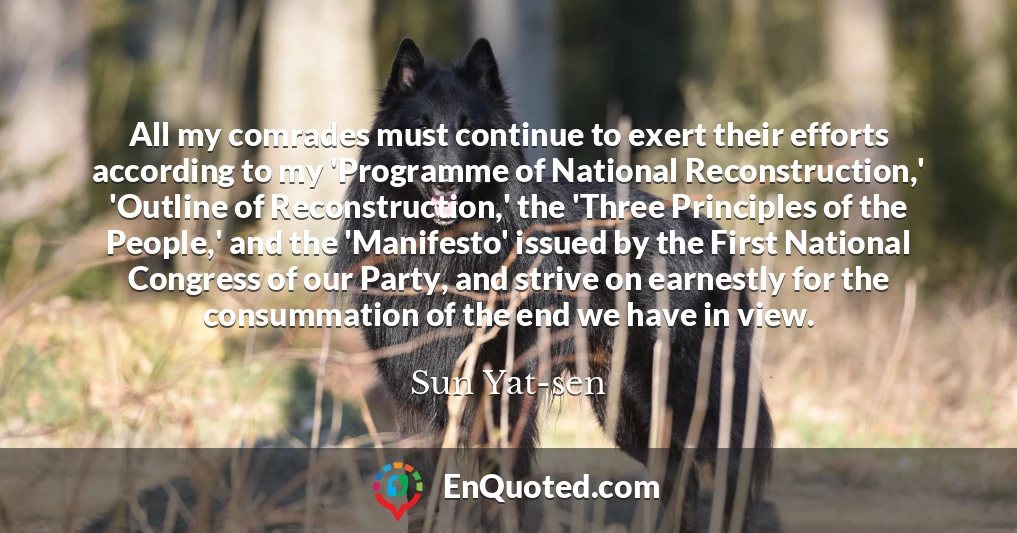 All my comrades must continue to exert their efforts according to my 'Programme of National Reconstruction,' 'Outline of Reconstruction,' the 'Three Principles of the People,' and the 'Manifesto' issued by the First National Congress of our Party, and strive on earnestly for the consummation of the end we have in view.