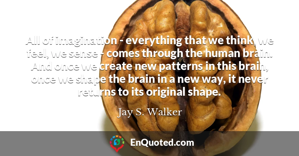 All of imagination - everything that we think, we feel, we sense - comes through the human brain. And once we create new patterns in this brain, once we shape the brain in a new way, it never returns to its original shape.