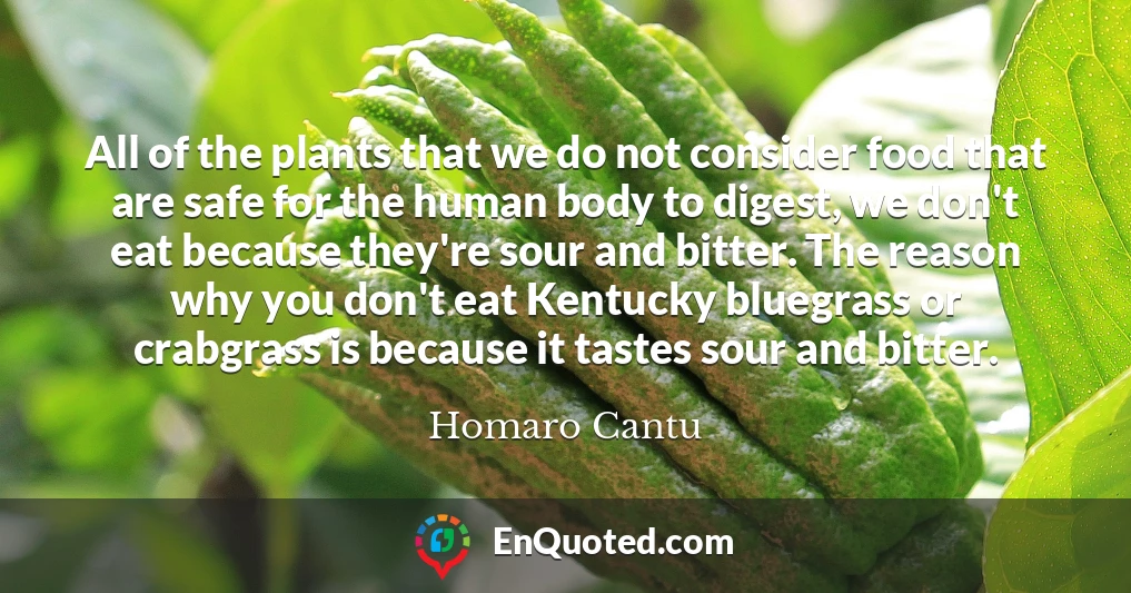 All of the plants that we do not consider food that are safe for the human body to digest, we don't eat because they're sour and bitter. The reason why you don't eat Kentucky bluegrass or crabgrass is because it tastes sour and bitter.