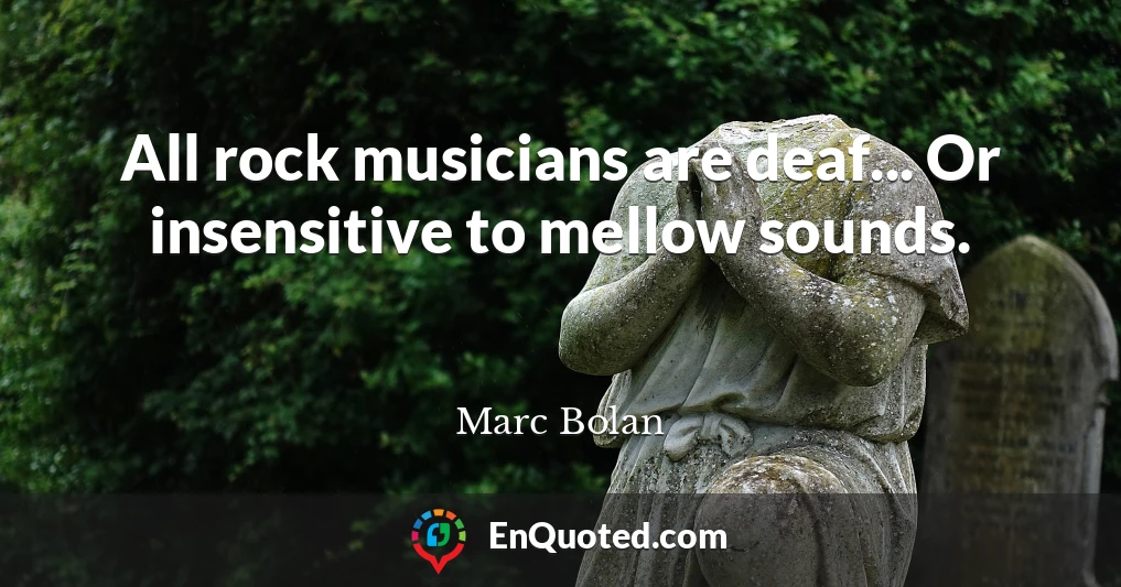 All rock musicians are deaf... Or insensitive to mellow sounds.