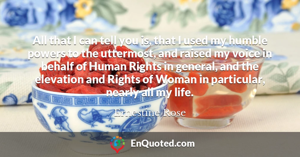 All that I can tell you is, that I used my humble powers to the uttermost, and raised my voice in behalf of Human Rights in general, and the elevation and Rights of Woman in particular, nearly all my life.