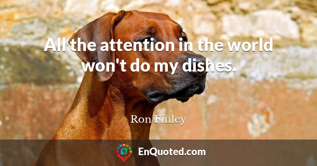 All the attention in the world won't do my dishes.