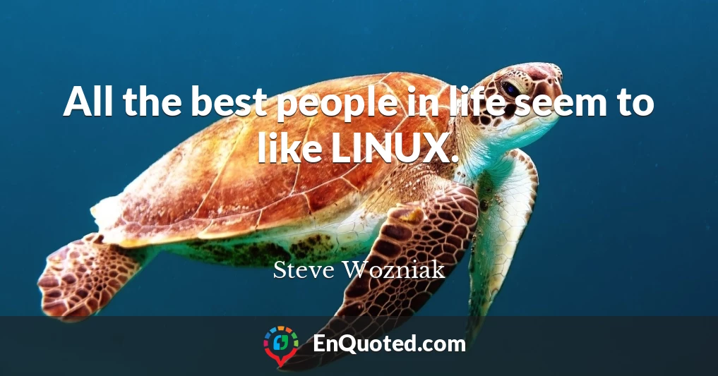 All the best people in life seem to like LINUX.