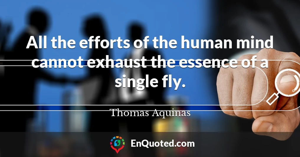 All the efforts of the human mind cannot exhaust the essence of a single fly.