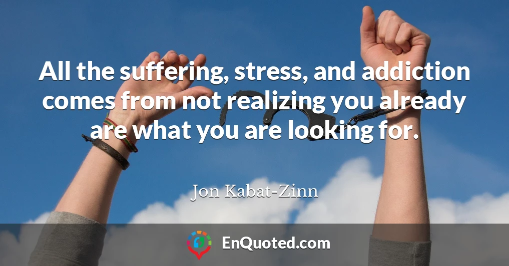 All the suffering, stress, and addiction comes from not realizing you already are what you are looking for.