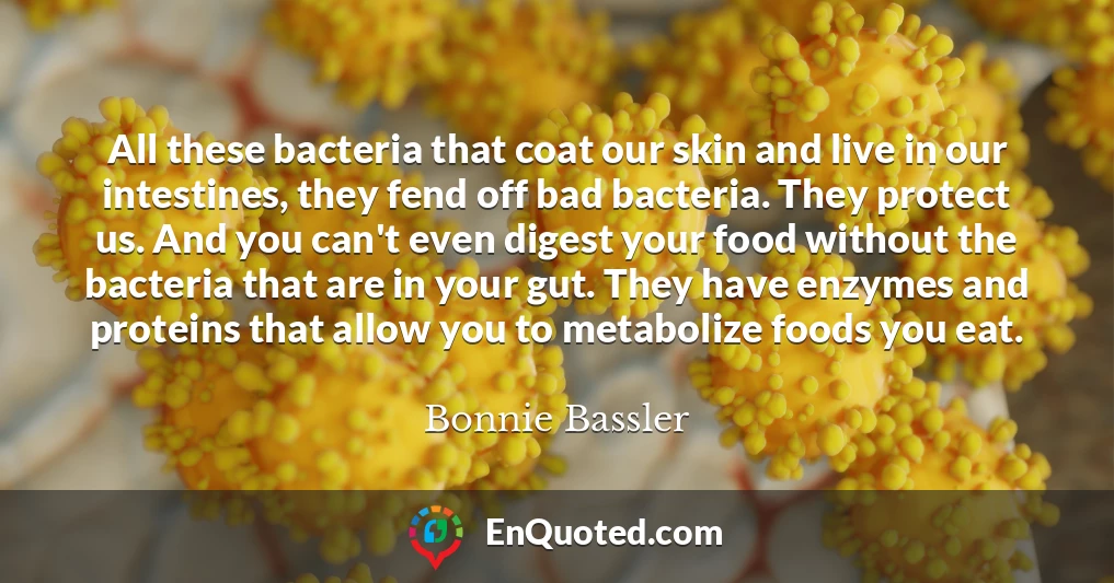 All these bacteria that coat our skin and live in our intestines, they fend off bad bacteria. They protect us. And you can't even digest your food without the bacteria that are in your gut. They have enzymes and proteins that allow you to metabolize foods you eat.