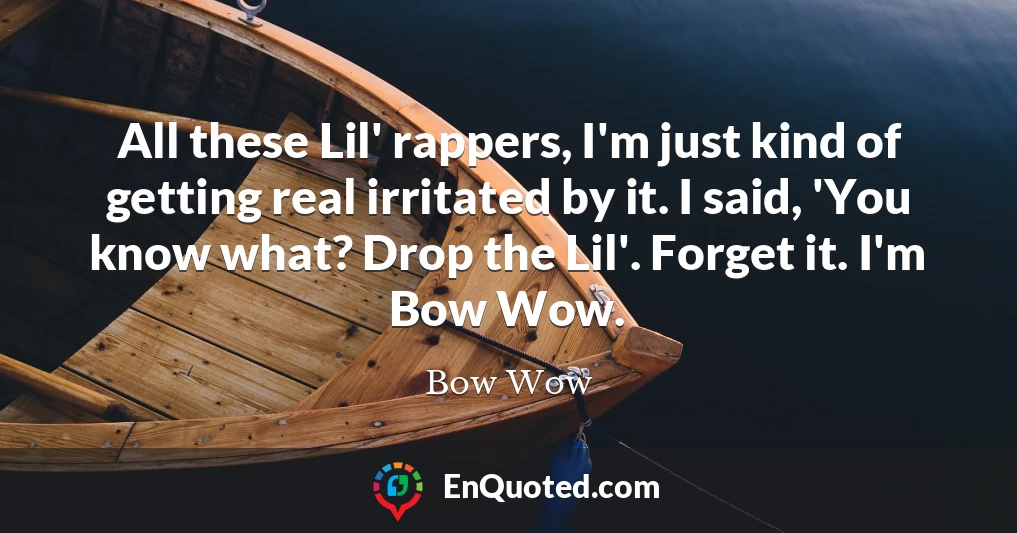 All these Lil' rappers, I'm just kind of getting real irritated by it. I said, 'You know what? Drop the Lil'. Forget it. I'm Bow Wow.