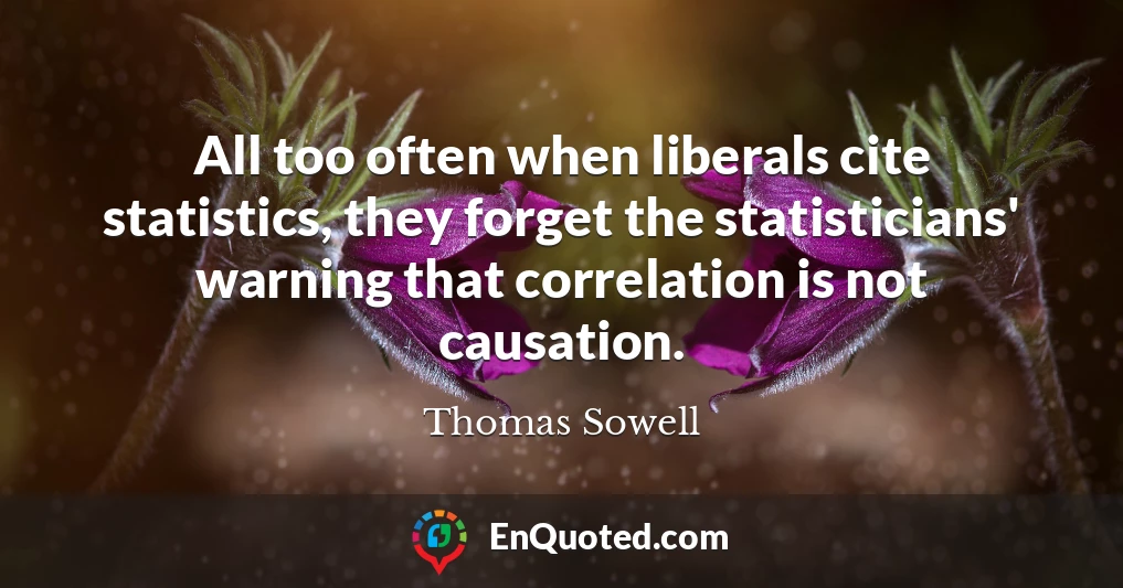 All too often when liberals cite statistics, they forget the statisticians' warning that correlation is not causation.